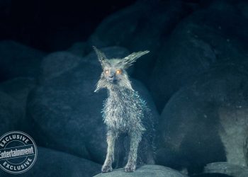 STAR WARS: THE LAST JEDI
A crystal fox
